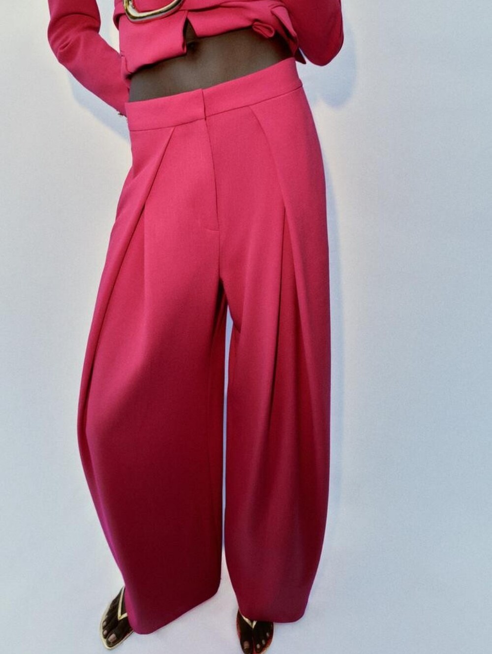 Zara Wide Leg Pleated Pants Fuschia Bnwt